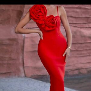 Women's dress